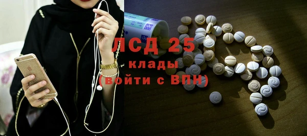ГАЛЛЮЦИНОГЕННЫЕ ГРИБЫ Алексин