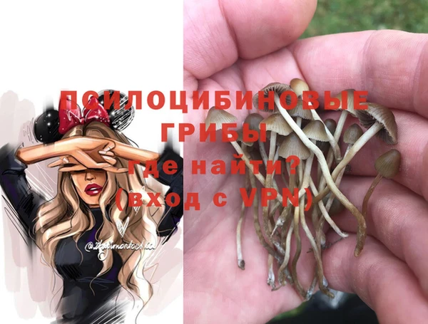 соль ск Алексеевка