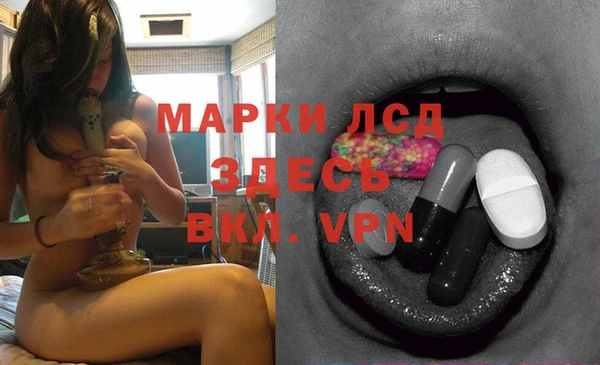 ГАЛЛЮЦИНОГЕННЫЕ ГРИБЫ Алексин